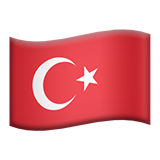 Türkçe